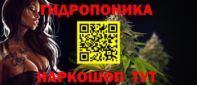 гашик Рязань